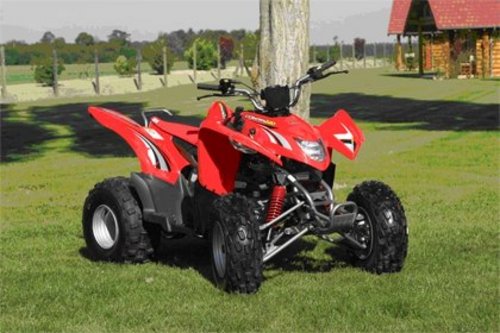 Product picture AEON COBRA 220 ATV SERVICE REPAIR MANUAL DOWNLOAD!!!